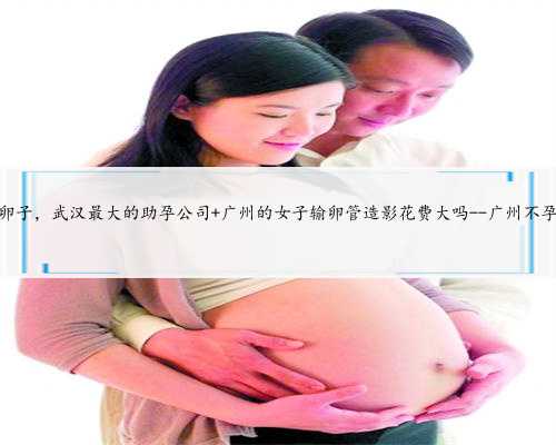 广州卖卵子，武汉最大的助孕公司 广州的女子输卵管造影花费大吗--广州不孕医