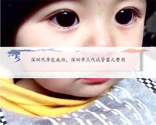 深圳代孕包成功，深圳市三代试管婴儿费用